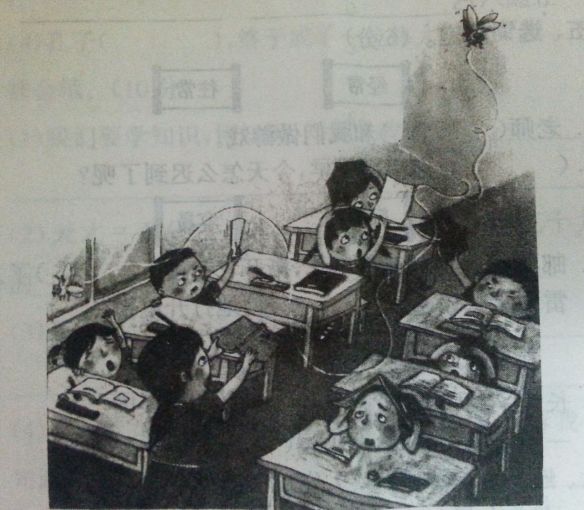 看图写话通用句子一年级,看图写话10大句式