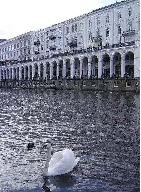 闀滃ご涓嬬殑寰峰啗,鍟嗗懆涓撴爮