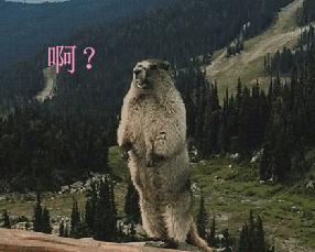 驾照一次性12分可以满分学习么,驾照12分没有扣完需要重新考吗