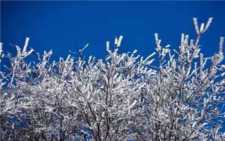 河南景点春节门票免费,河南春节免费景点