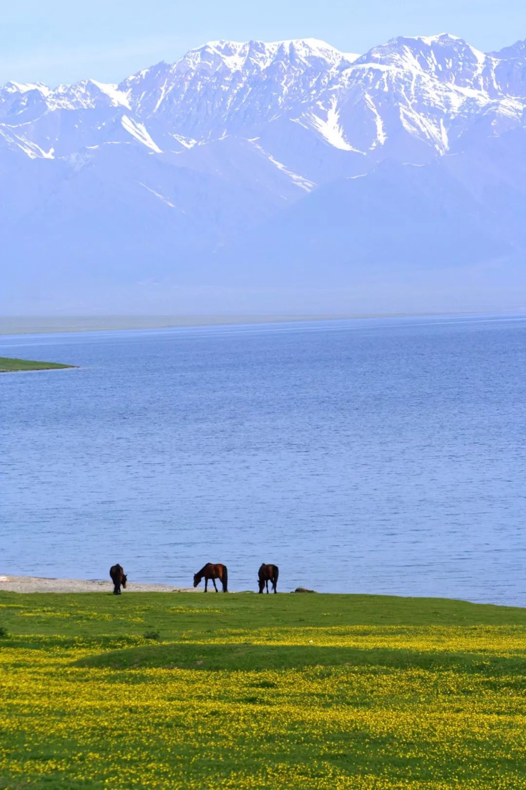 涓嶈兘鍘诲鍦扮殑鐞嗙敱,浜旂浜轰笉鑳藉幓鐤嗗唴鏃呮父