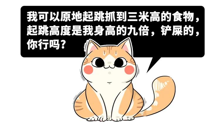 如何踩鸡蛋鸡蛋不会碎的原理,如何踩鸡蛋不碎