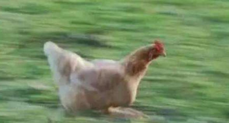 上班族爱用的表情包,上班族必备搞笑表情包