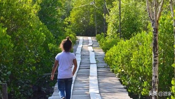 泰国哪些海岛值得去旅游,泰国岛屿排名前十海岛