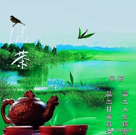 海丰公平西坑绿茶,海丰西坑茶叶