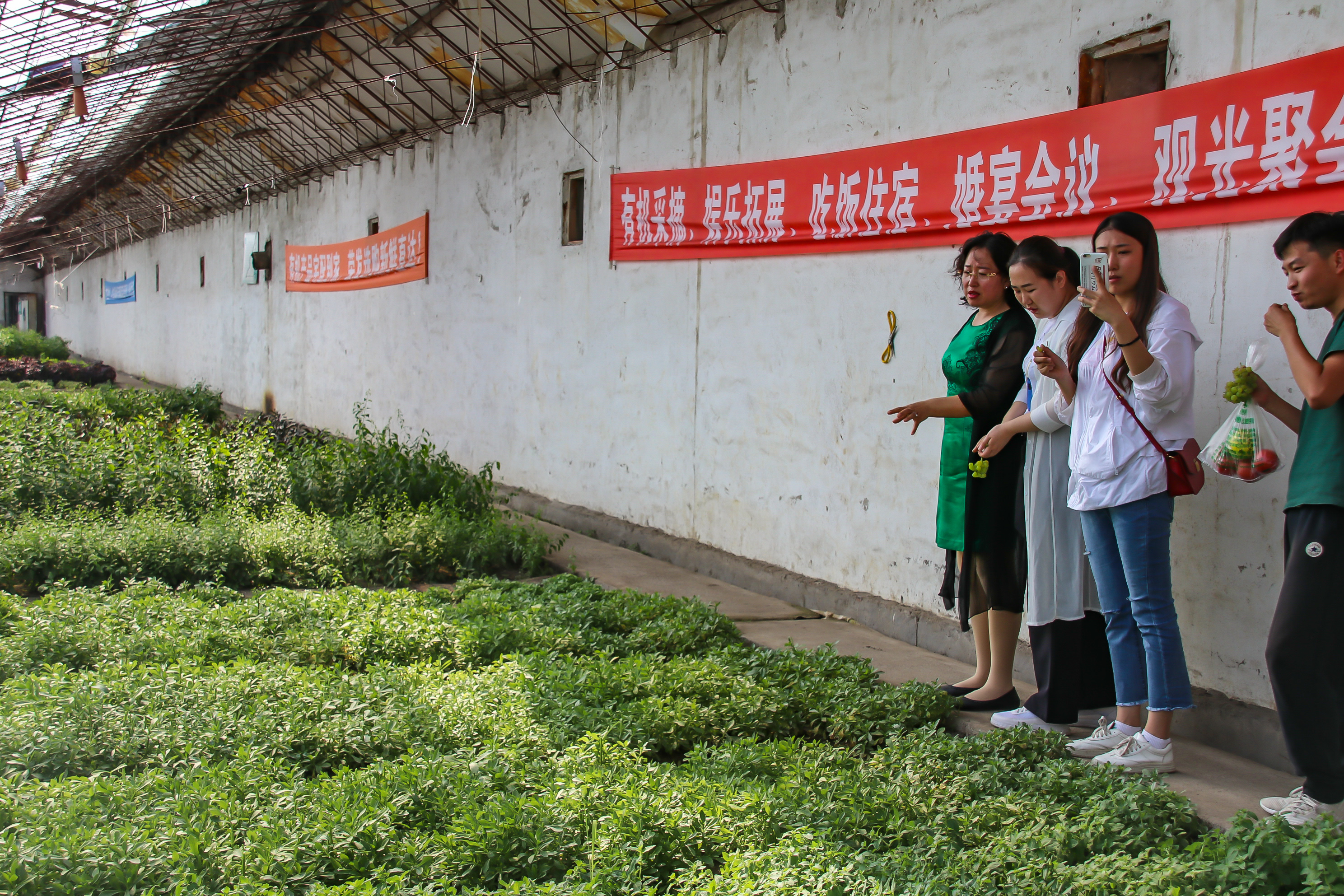 孙亚鹃：扎根黑土献芳华