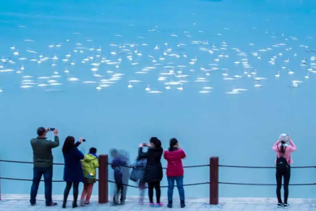 三门峡中流砥柱,中流砥柱三门峡大坝