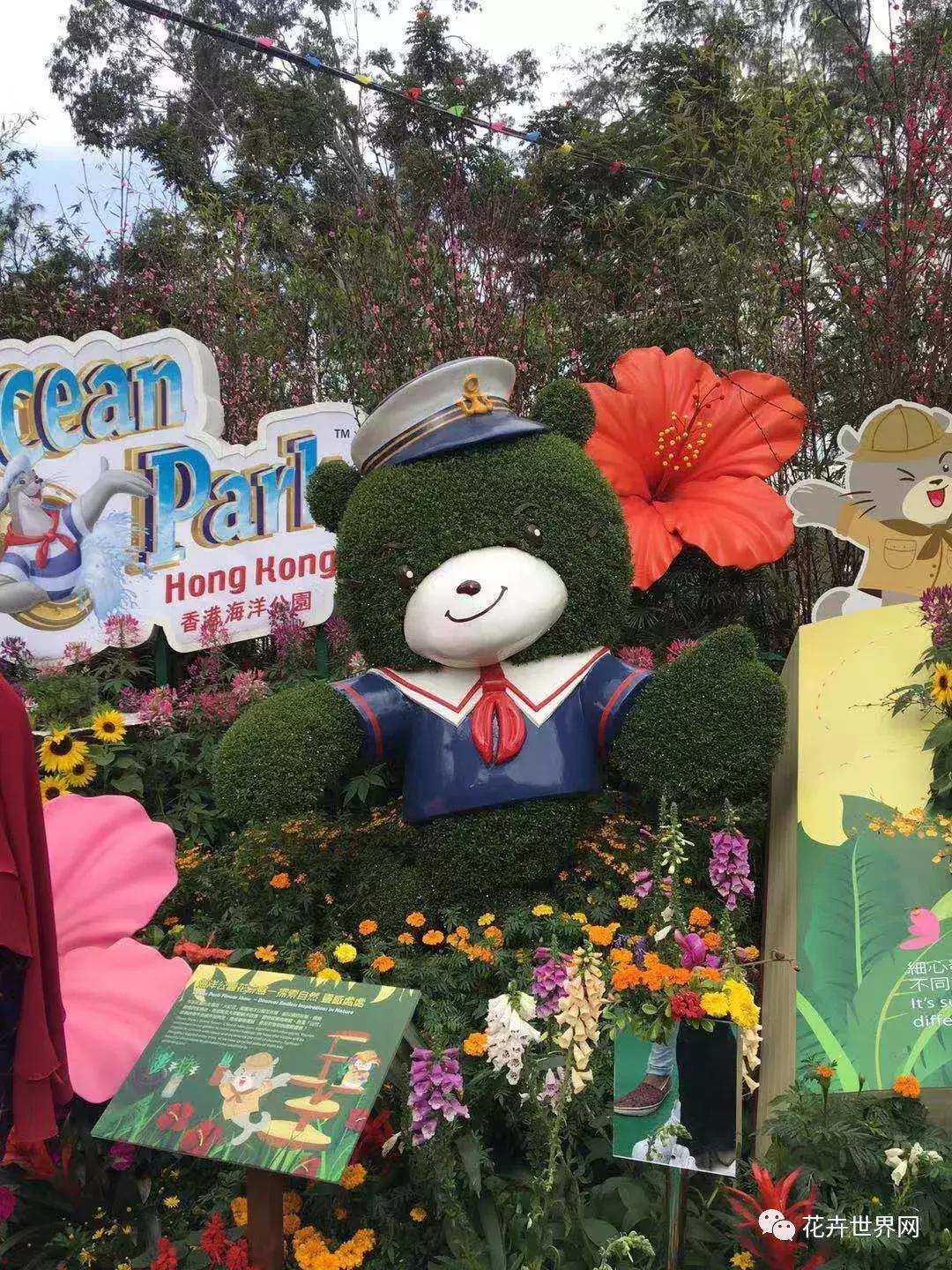 香港花卉艺术展,共赴盛会活动