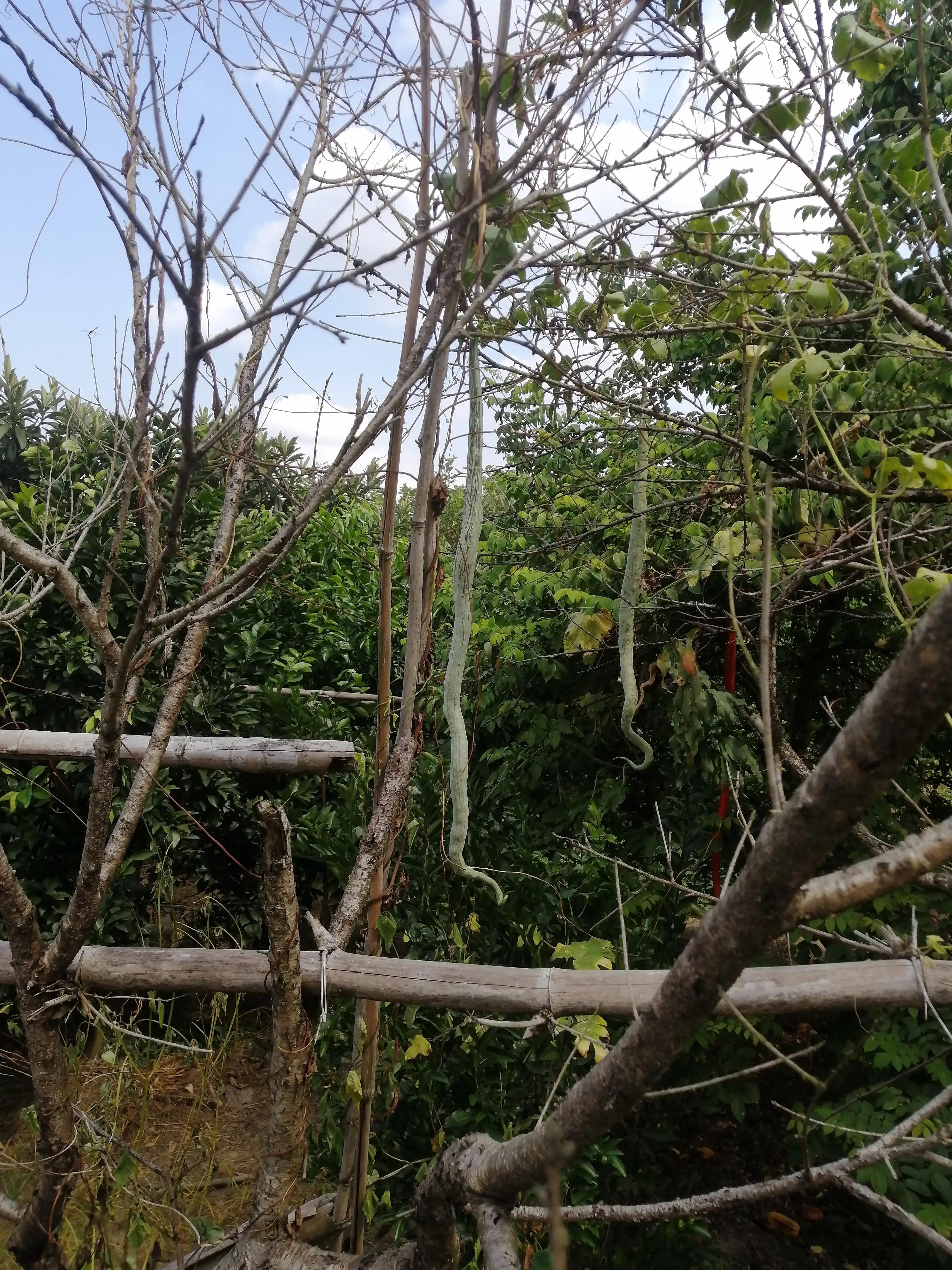 桂林山水让我流连忘返,桂林山水绝对让你流连忘返