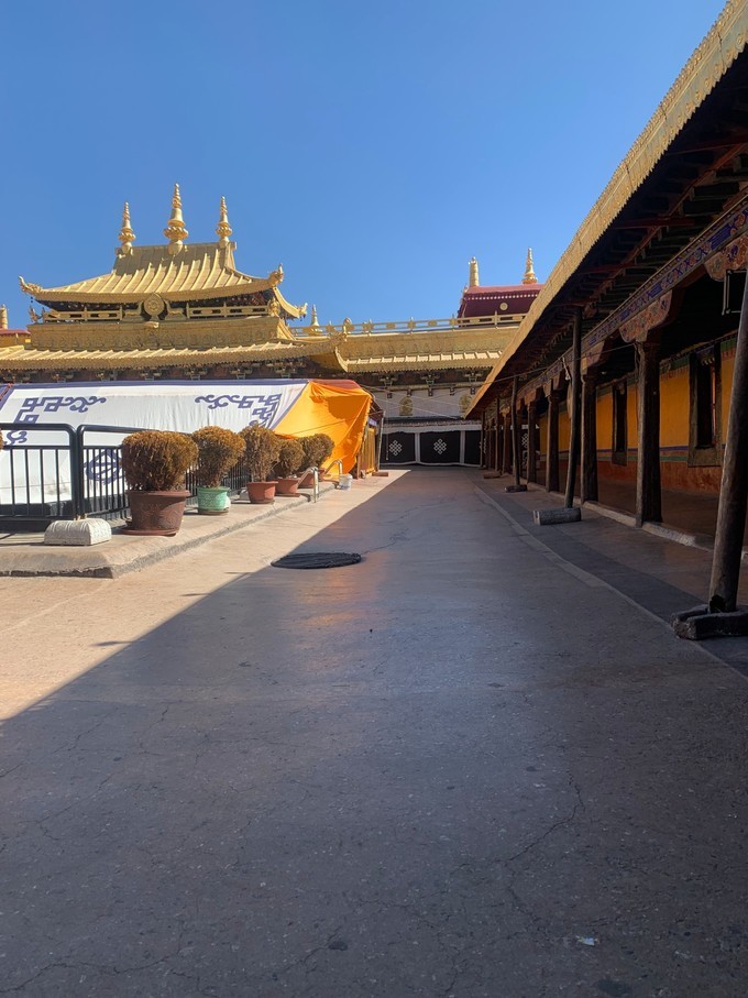 冬天去拉萨的感受,在拉萨几点晒太阳最舒服