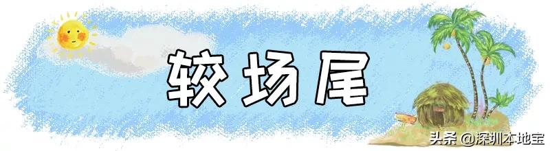 深圳免费的景点有哪些地方,深圳有哪些免费又好玩的地方景点