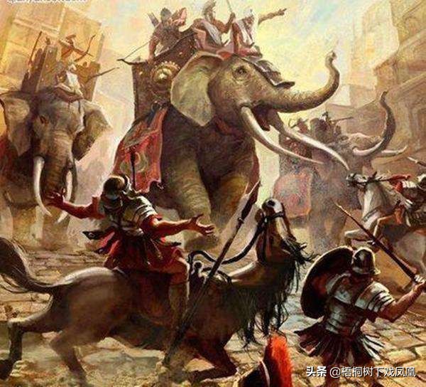 下雨天哪种鞋子防水,雨季鞋子怎么防水