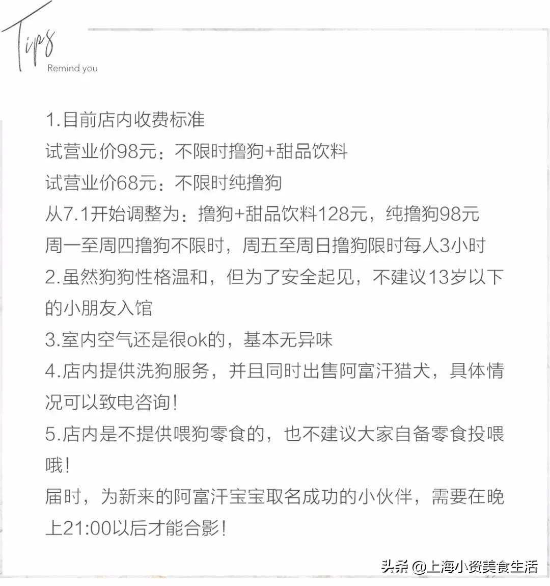 魔都哈士奇体验馆宠物咖啡,魔都哈士奇咖啡馆
