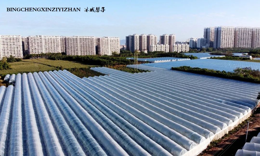 乐东九所海边康养基地,海南乐东九所景和家园