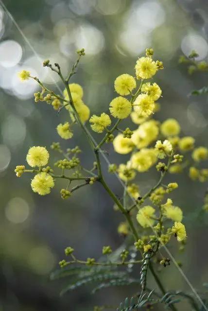 基础拍照构图教学,基础拍风景构图方法和技巧