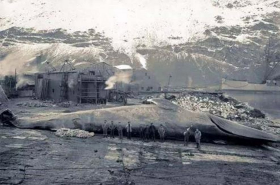 带你一起看智能社会这本书,未来5年的智能社会