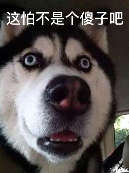 买e300如何谈,买了e300什么感觉