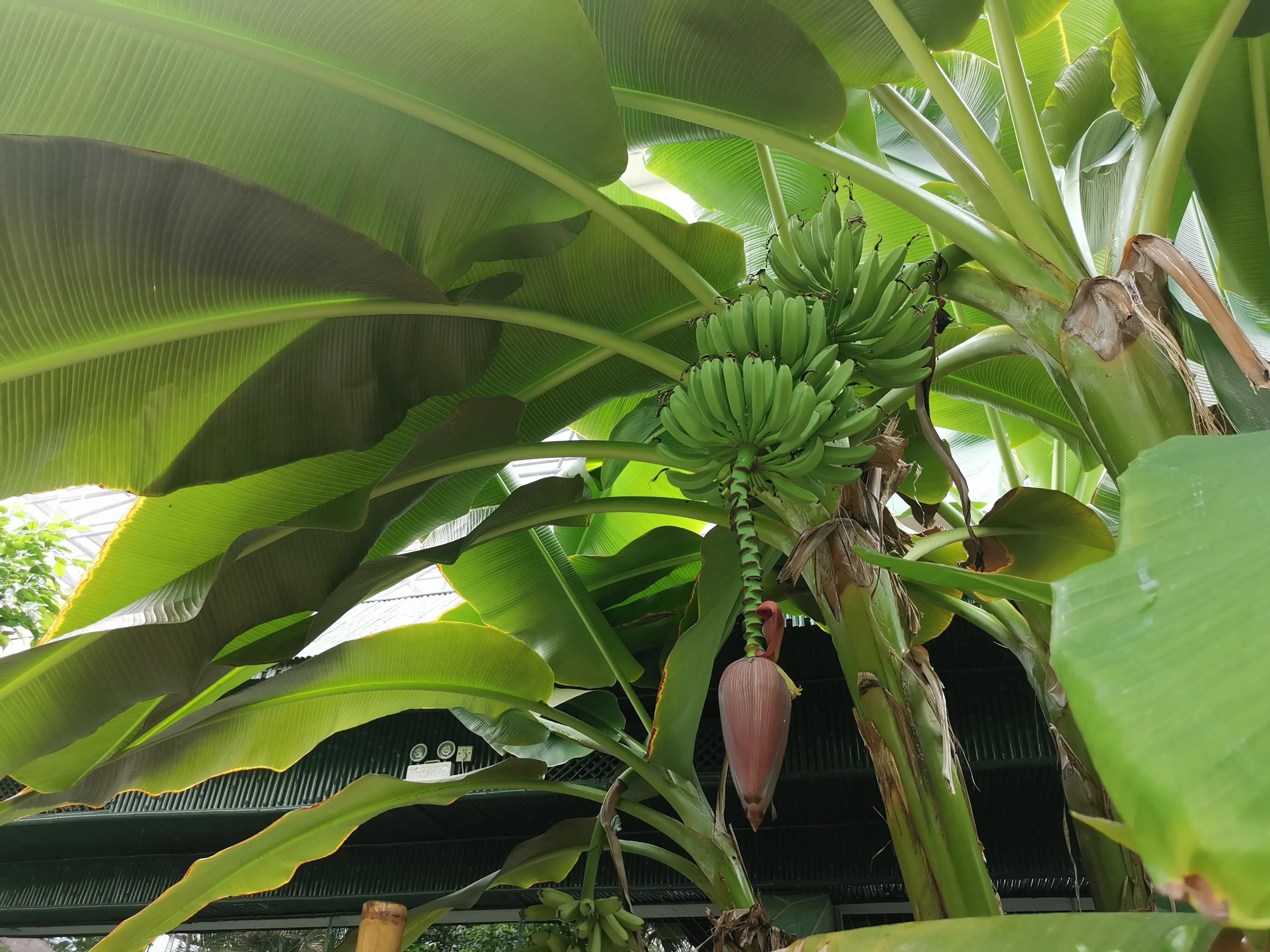 凤山温泉,北京金隅凤山温泉特色