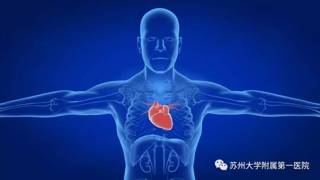 冠心病最怕的8个误区,冠心病健康讲座计划