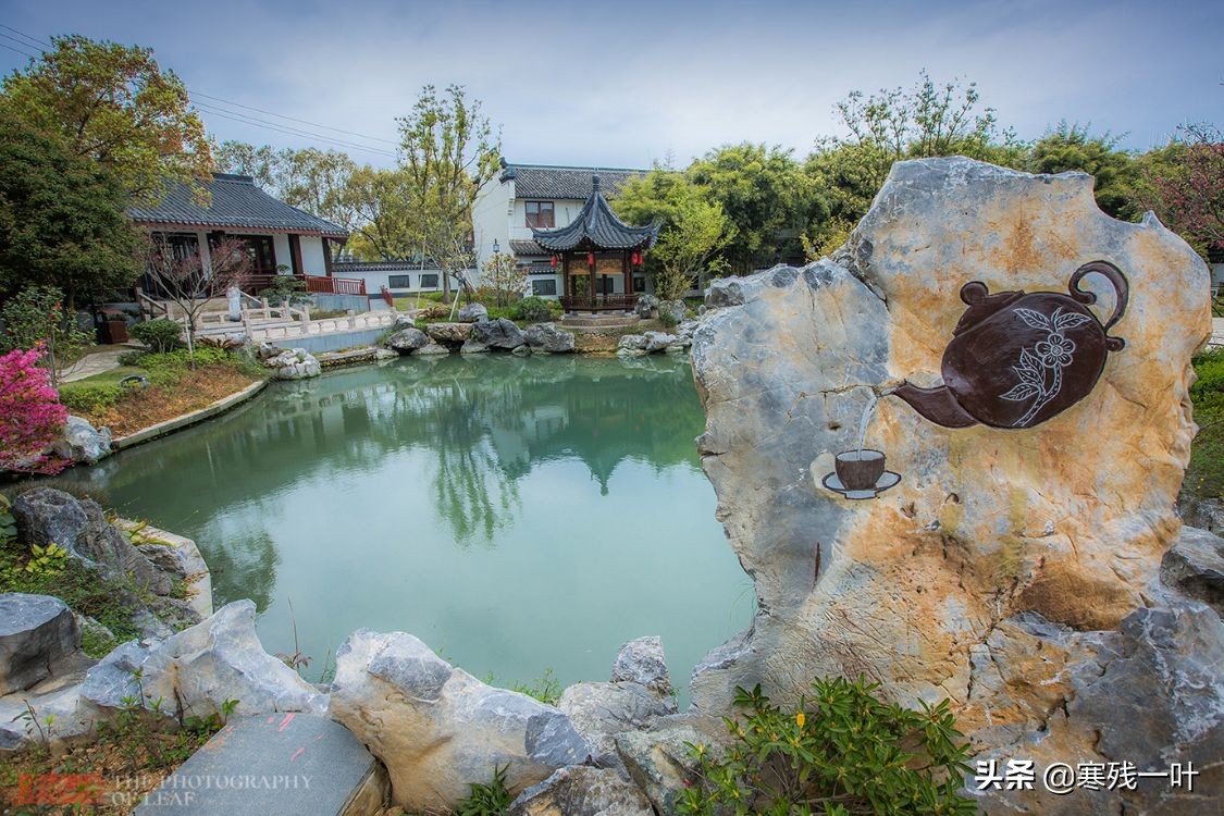 宋朝最火的茶,宋朝点茶是什么茶