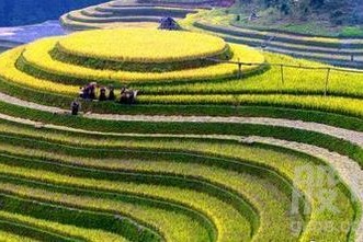 我的知青哥哥小邱