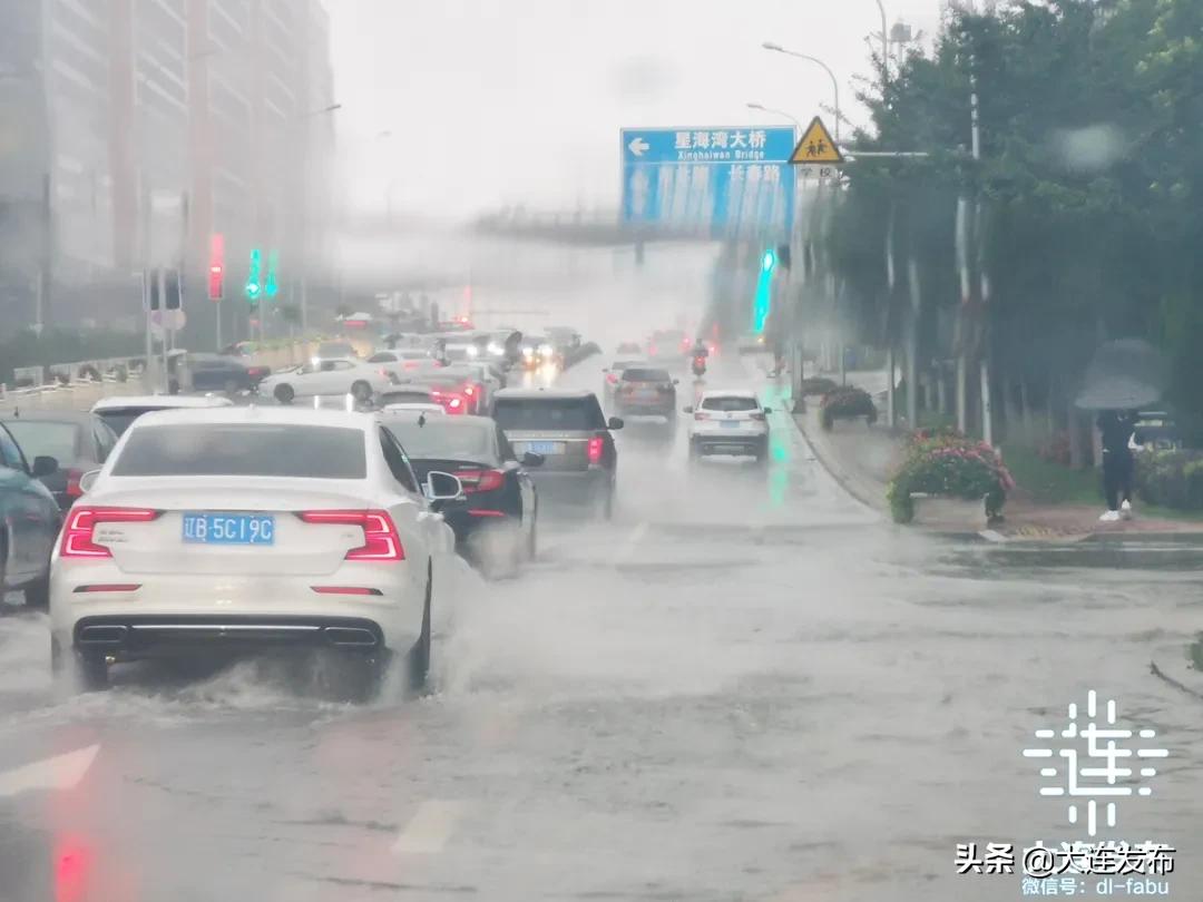 中心城区已清理305株倒伏树木，今夜大连仍风骤雨急！