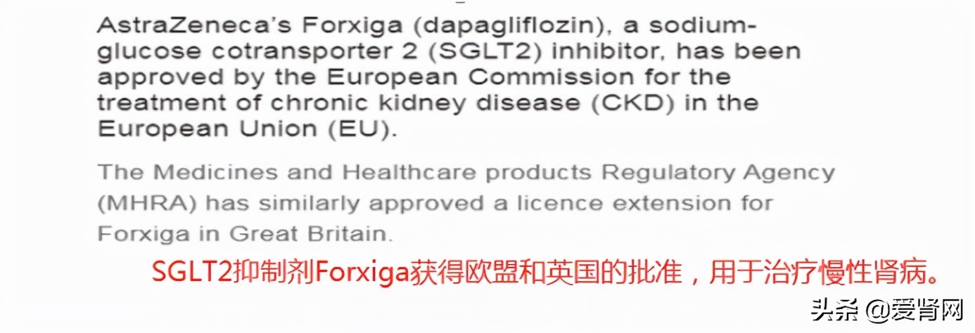 sglt2抑制剂治疗糖尿病肾病,肾脏病的最新治疗