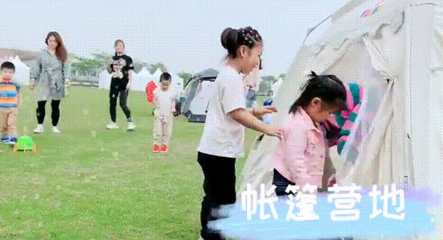 上海最大薰衣草公园,上海薰衣草公园迪士尼