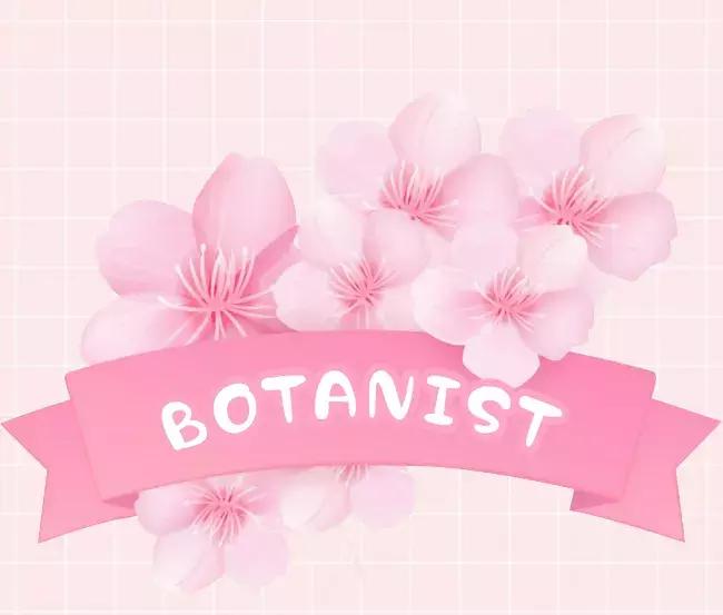 粉粉粉粉粉粉出屏幕的樱花限定来啦,看过就算买过!