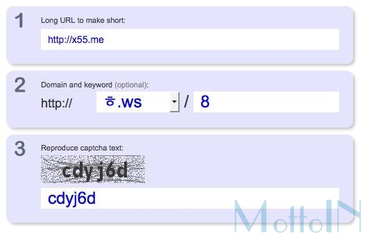 短域名系统,最短域名