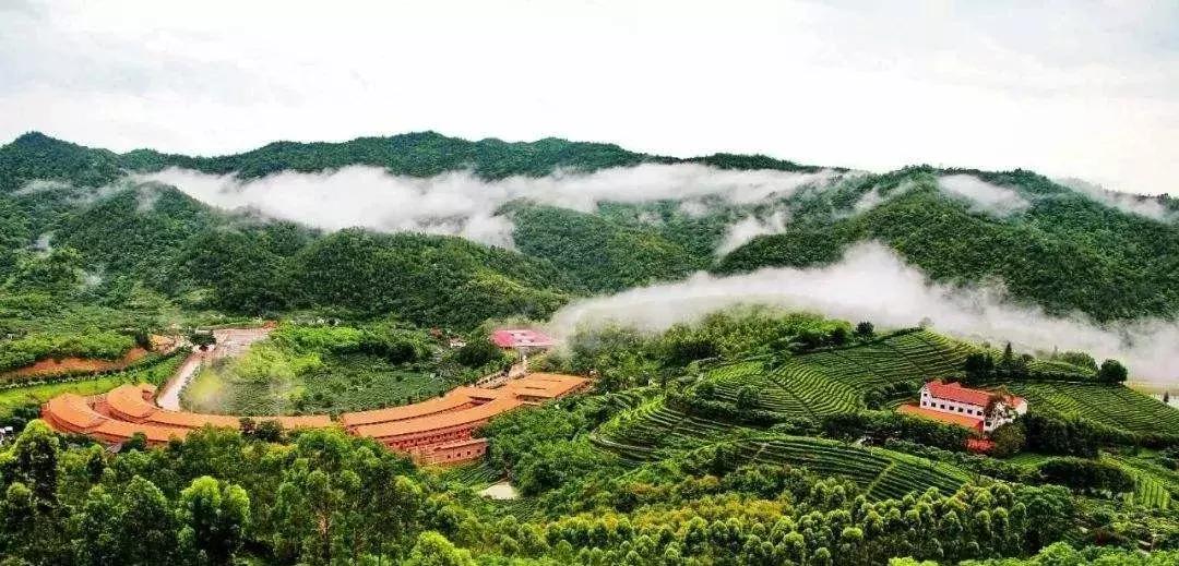 神龙峡景区被摘5a级景区,重庆神龙峡景区