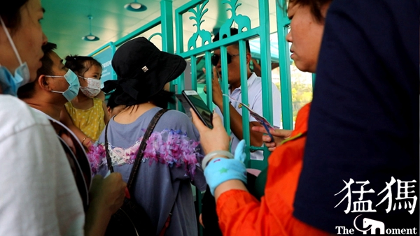 暗访天价郑州动物园,暗访郑州动物园