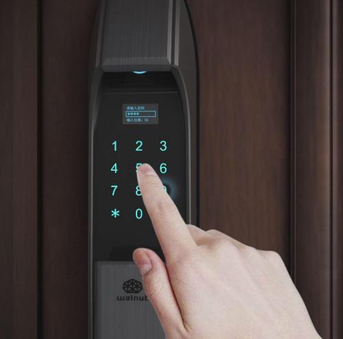 猪年精品：核桃智能锁匹配CEI铸铝钢木装甲门很受高端消费者喜欢