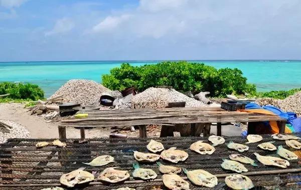 杨颖黎族海岛素颜照,海岛素颜照