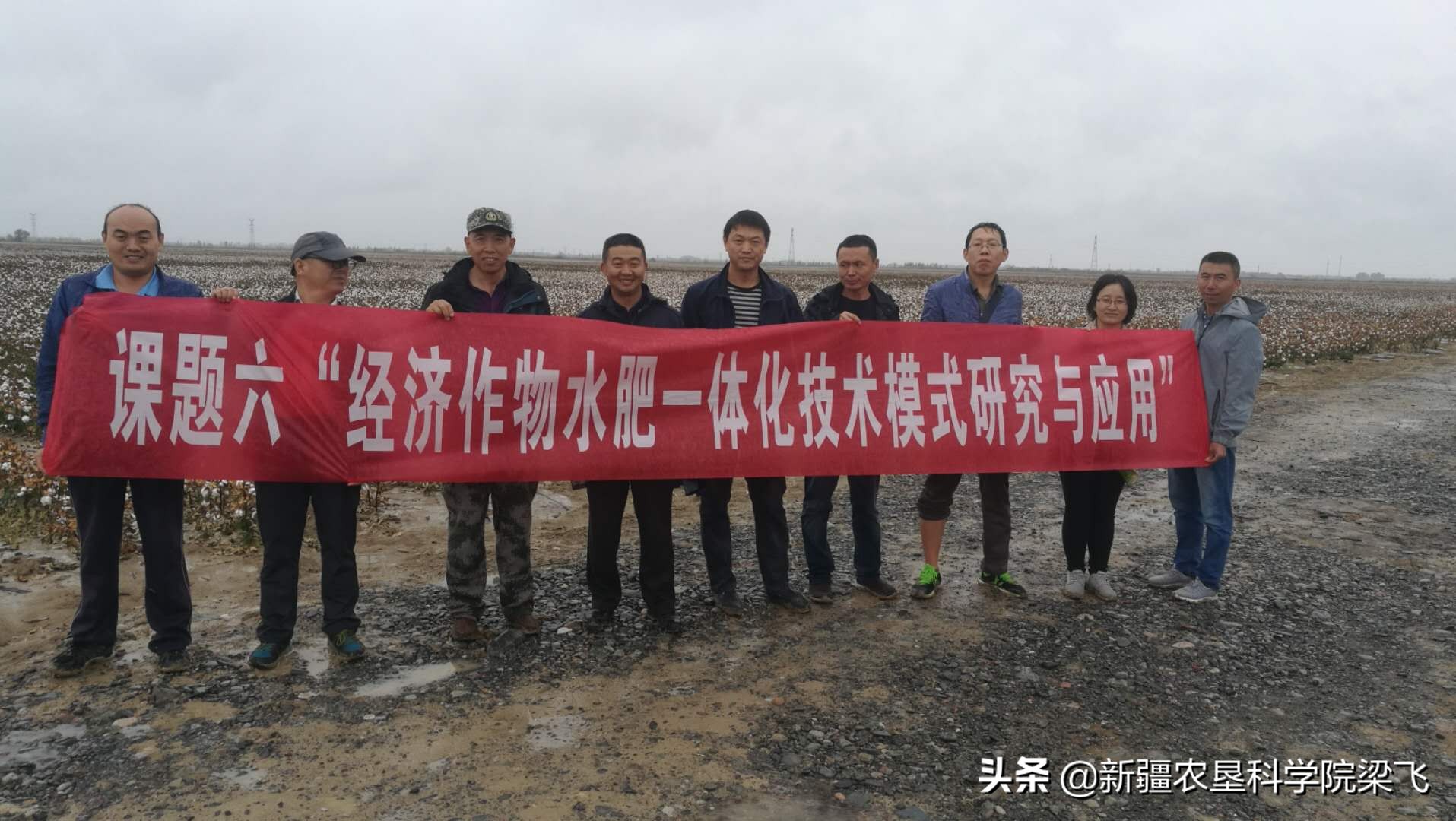 水肥一体化滴灌技术视频,滴灌棉花水肥一体化