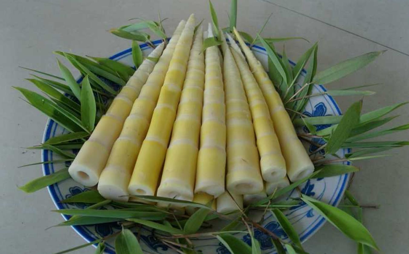 吃货们看过来竹笋有几种做法,竹笋最经典的三种吃法