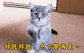 pdd閬囦綑灏廲,pdd鐩存挱doinb