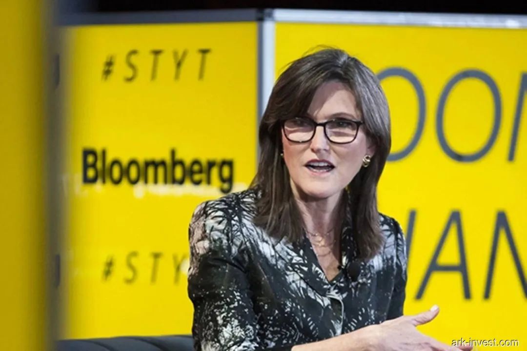 女股神巴菲特凯西伍德持仓,凯西伍德巴菲特