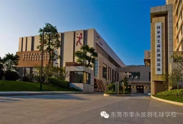 少儿体育培训机构哪家好,广东少儿体育培训机构