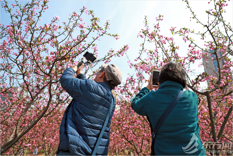 冬日暖阳黄兴公园的美景,公园黄兴公园