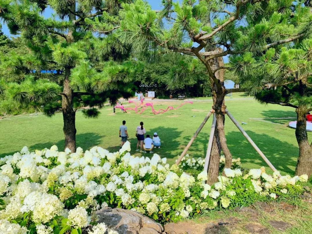 济州岛自由行详细攻略,济州岛自由行超实用攻略