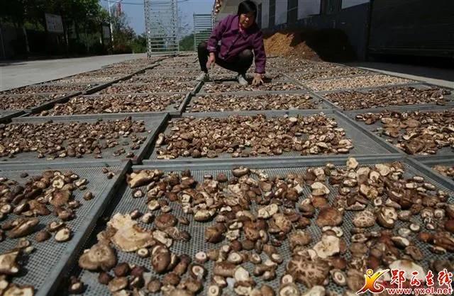 郧西县2018精准扶贫,十堰市郧西县精准扶贫