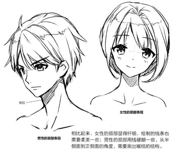 零基础漫画侧脸教程,初学漫画头入门零基础