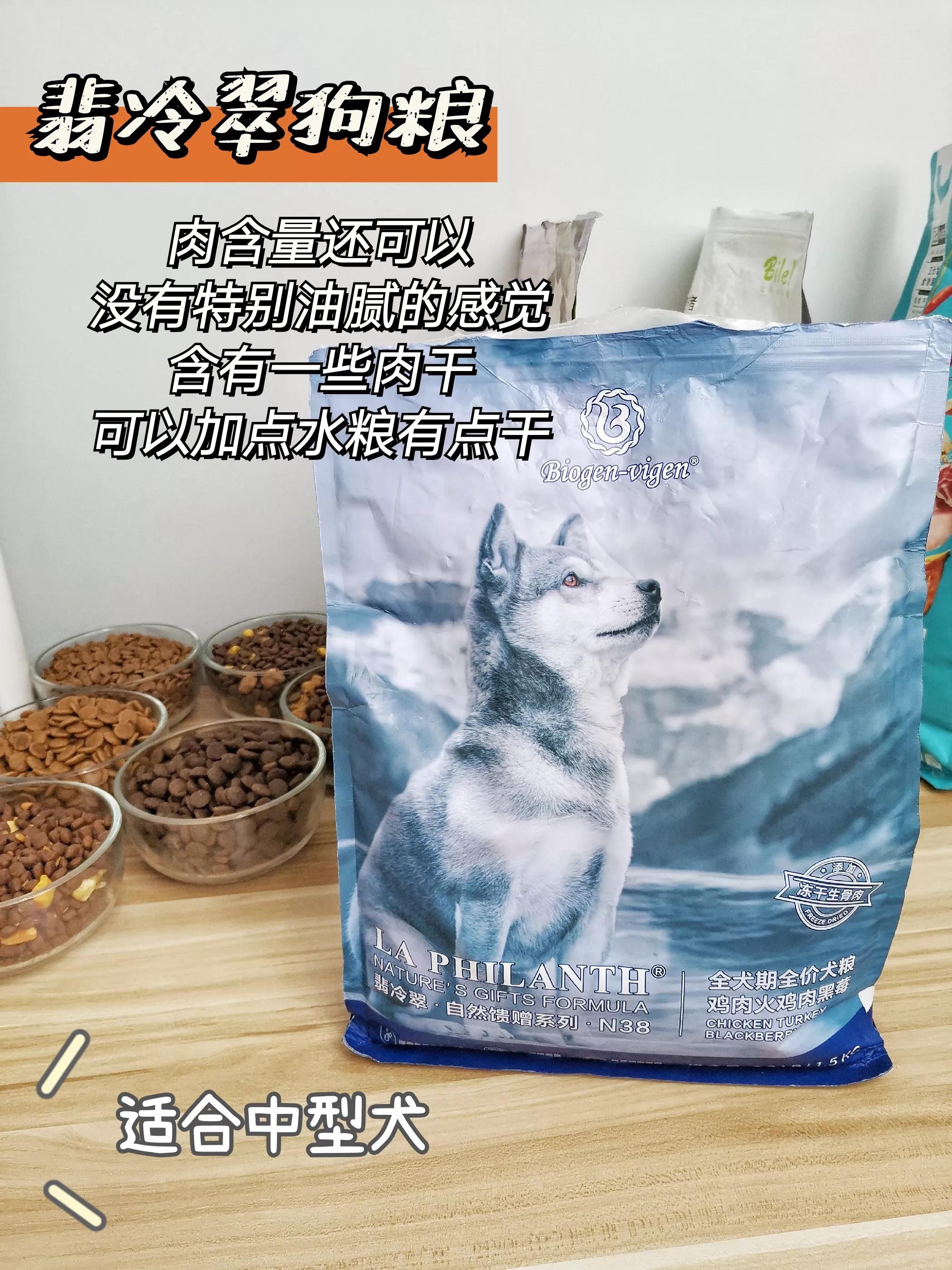 狗粮推荐平价6-12个月,花时间整理