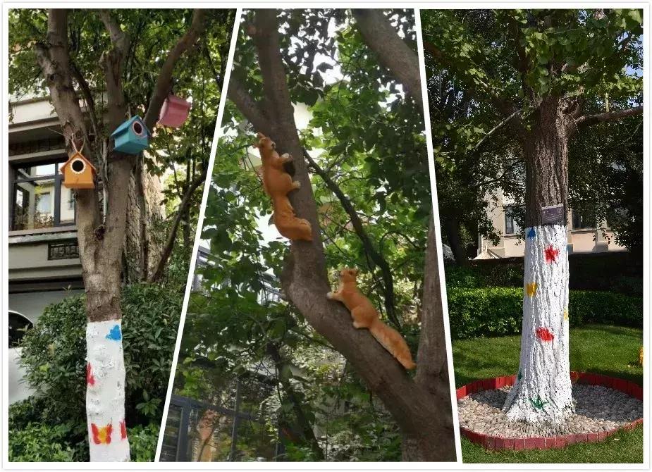 鉴证品质体验美好｜商丘业主代表来汴参观开元物业项目