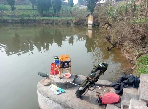 野战蓝鲫怎么样,野战蓝鲫如何开出最好的状态