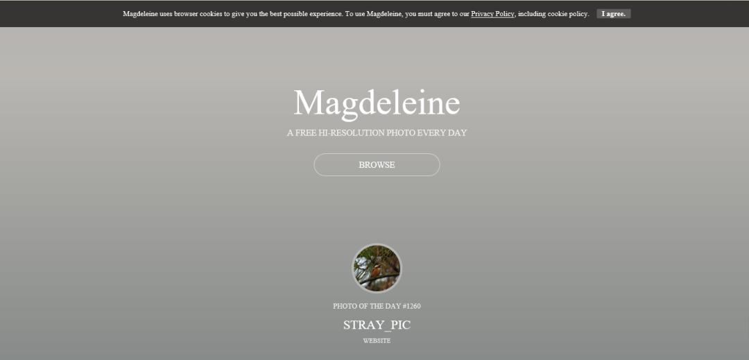 最强的搜图网站,最好用的搜图网站