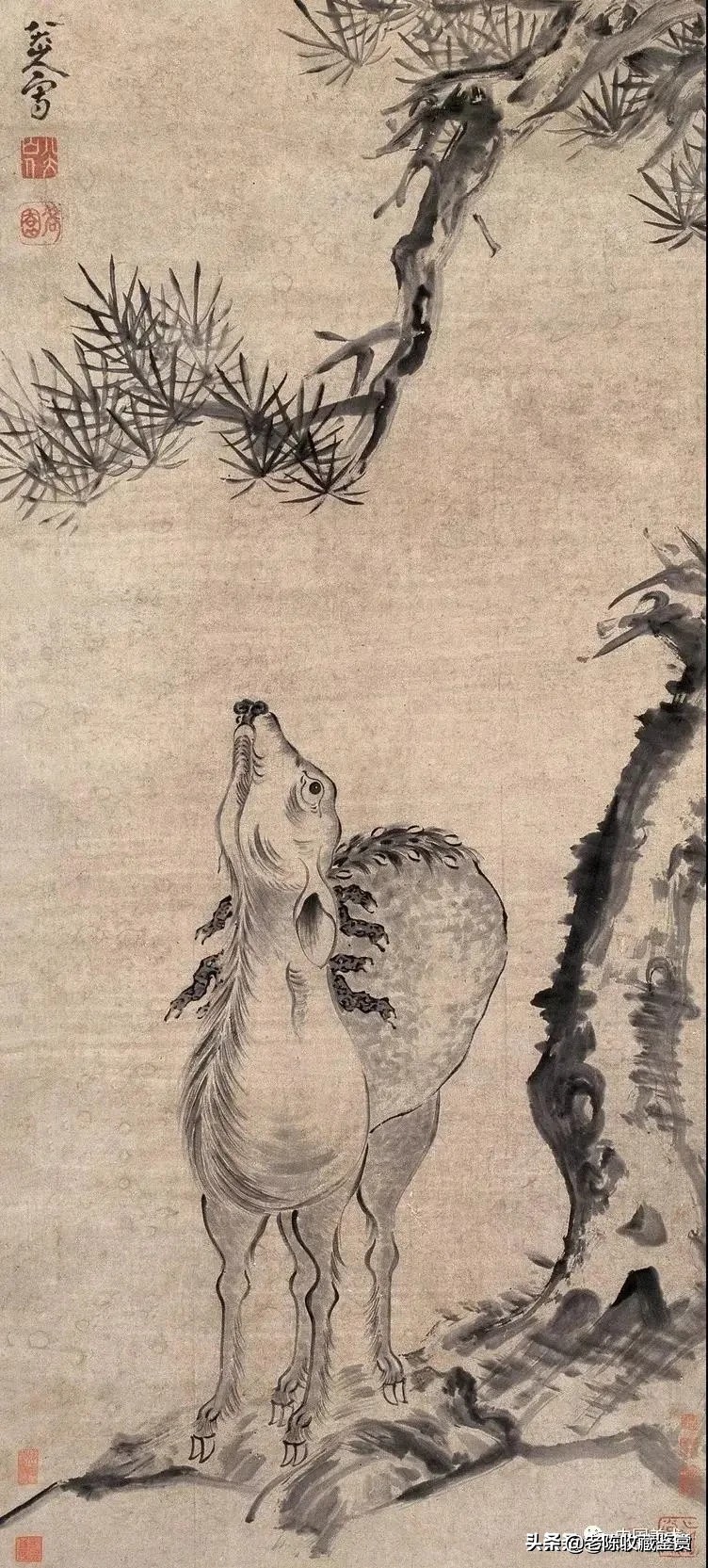 八大山人鹿图,八大山人松鹿图赏析