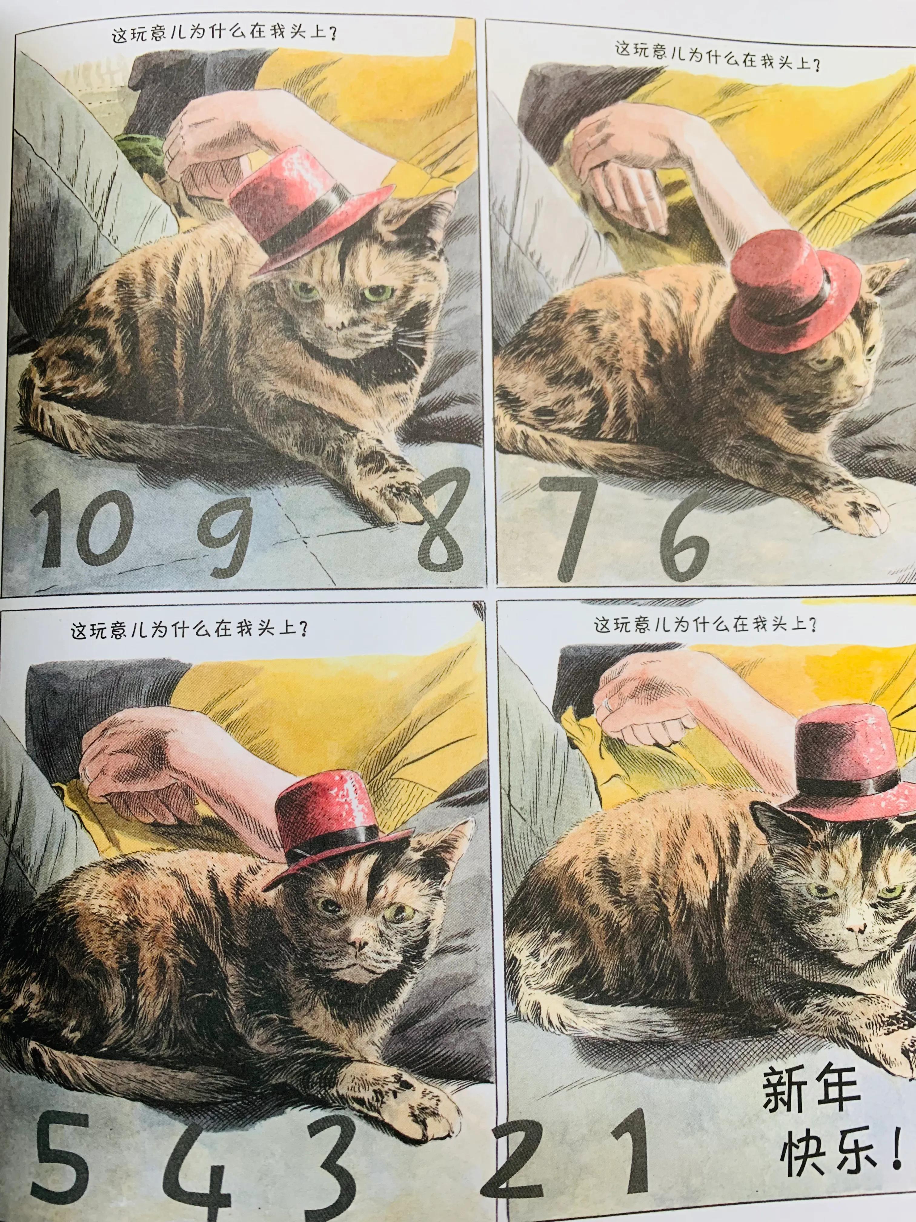 猫咪搞笑日常漫画,一个关于猫的搞笑漫画