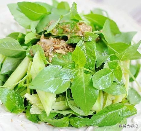 外国人迷恋香草,外国人迷恋中国美食